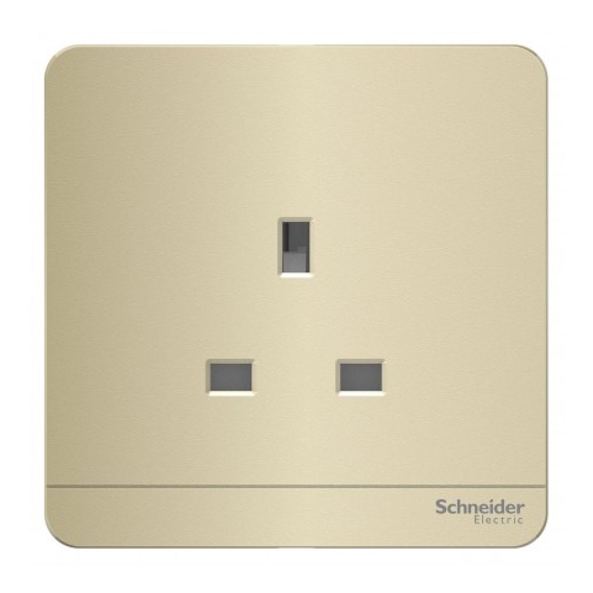 Schneider Electric 施耐德電氣 AvatarOn 13A 單位連保護門插座 (沉醉金) (E83426_WG_C5)